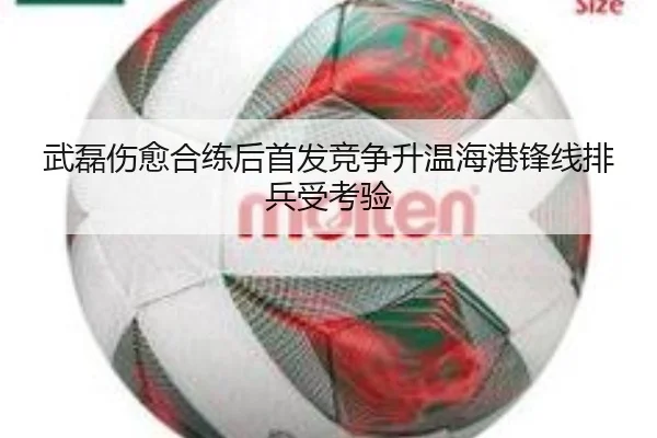 武磊伤愈合练后首发竞争升温海港锋线排兵受考验（kaiyun）
